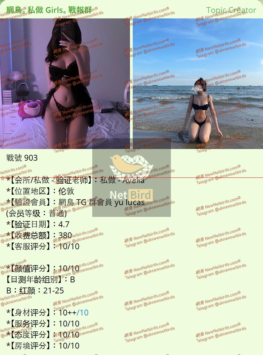 戰號 903 1.jpeg